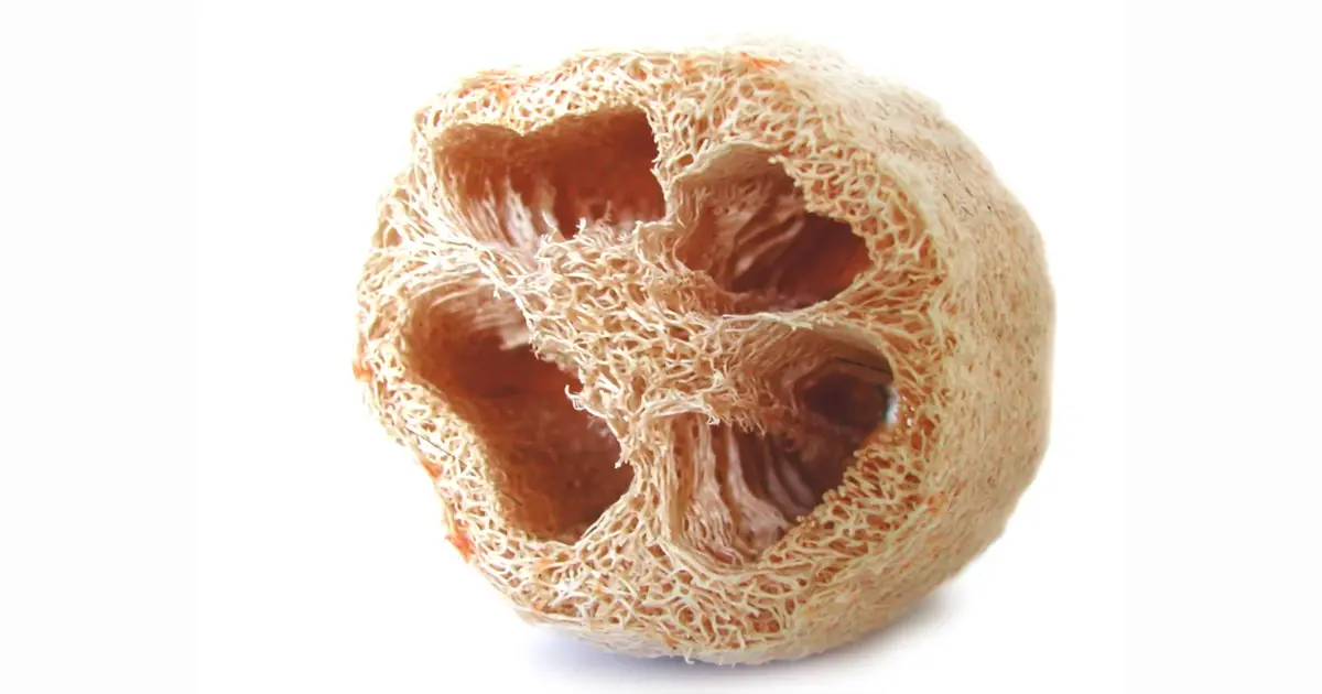 Discrete Atomic Luffa Control